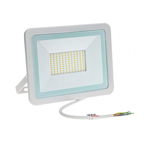 NOCTIS LUX 2 SMD 230V 100W IP65 CW fehér